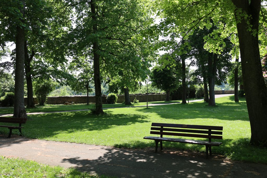 Parkbänke in einem sonnigen und schattigen grünen Park mit Bäumen und Sträuchern und der Stadtmauer